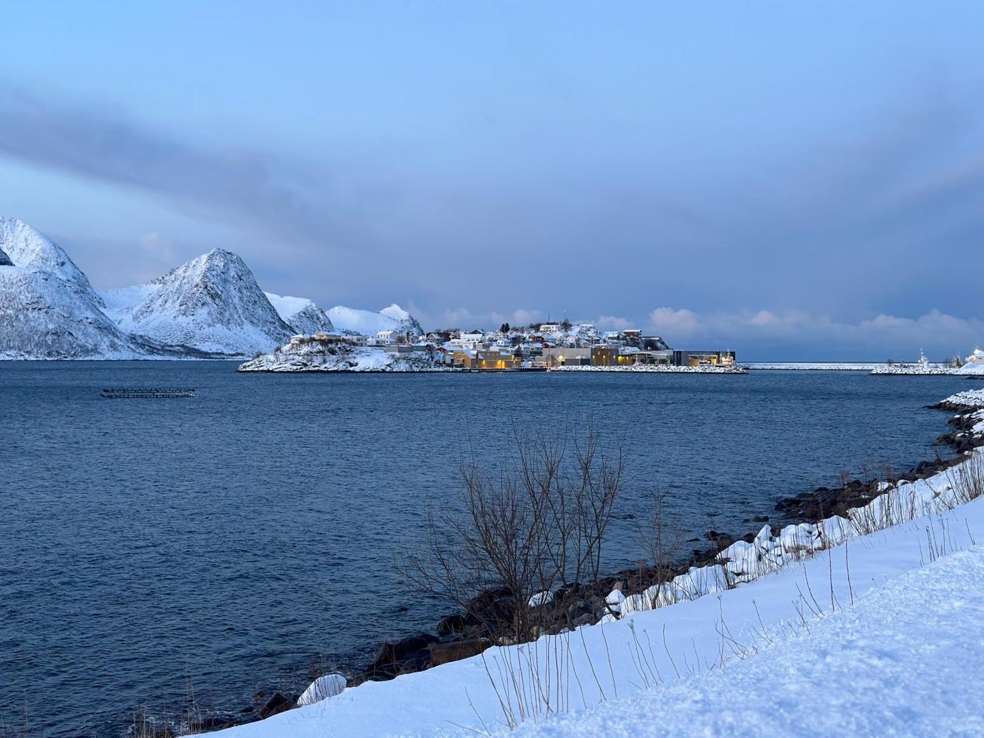 Cozy House By The Sea Villa Tofta Exteriör bild